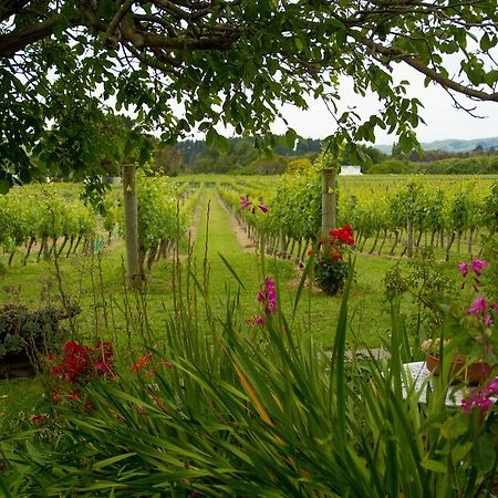 Margrain Vineyard Villas Martinborough Exterior photo